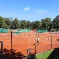 Tennis – Ergebnisse Punktspiel-Runde